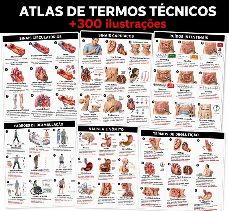 OFERTA ESPECIAL